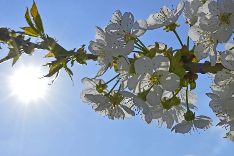 Vinkit – Miten hoidan ihoa keväällä?